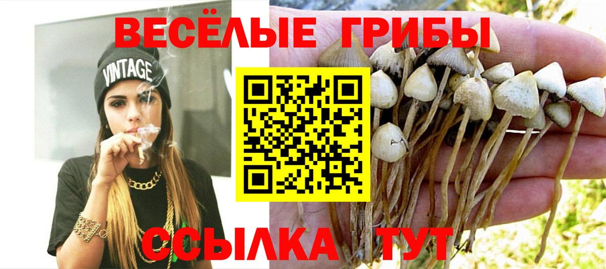 Химки  Галлюциногенные грибы MAGIC MUSHROOMS  Галлюциногенные грибы GOLDEN TEACHER  Вход с VPN 